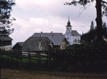 Trail On foot Bad Schwanberg - Glashütten - Weinebene - Photo