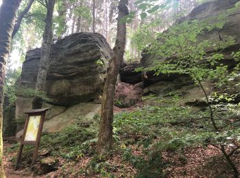 Trail Walking Beaufort - Muller 1 - Photo