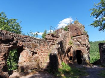 Randonnée Marche Obersteinbach - obersteinbach  - Photo