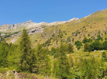 Trail Walking Champoléon - Refuge Tourond + Cascade 28/07/20 - Photo