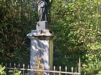 Trail Walking Coteaux du Lizon - saint lupicin .passage au belvédère de la scia - Photo
