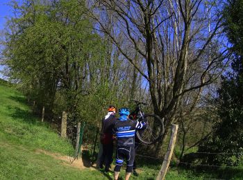 Percorso Mountainbike Genappe - VTT  sur bousval - Photo