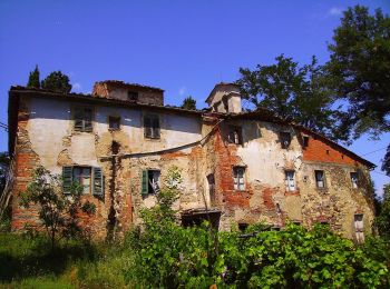 Tour Zu Fuß Gaiole in Chianti - IT-39 - Photo