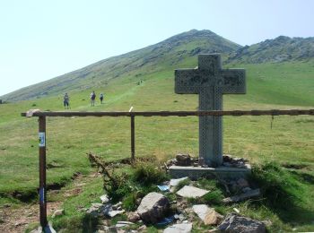 Trail Walking Saint-Jean-Pied-de-Port - Camino Francés - Etp1 - Saint Jean Pied de Port - Ronceveau - Photo