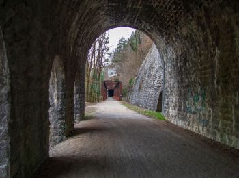 Tour Wandern Perrigny - Perrigy Montaigu Vatagna Conliège (IBP 88) 2021-02-18 repèrage CAF - Photo