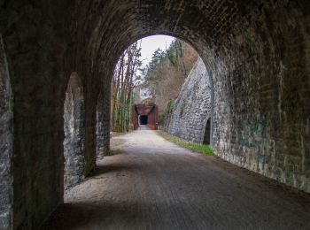 Excursión Senderismo Perrigny - Perrigy Montaigu Vatagna Conliège (IBP 88) 2021-02-18 repèrage CAF - Photo