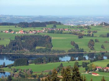 Excursión A pie Oy-Mittelberg - Rundweg 3 - Photo