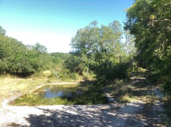 Randonnée V.T.T. Caniac-du-Causse - Boucle Quissac - Caniac du Causse - Photo