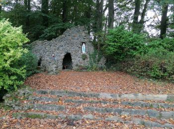 Randonnée Trail Audenarde - Ten Voeten uit koppenberg - Photo