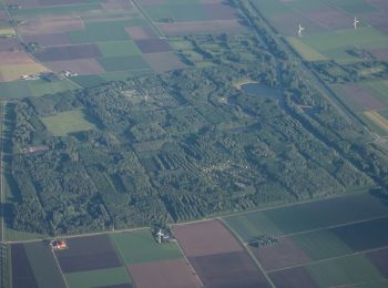 Percorso A piedi Lelystad - Lelystad-Oostvaardersbos-Knarbos - Photo