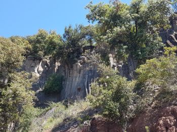 Excursión Senderismo Le Puech - Les Vailhès Laulo Plateau d'Auverne Salagou - Photo