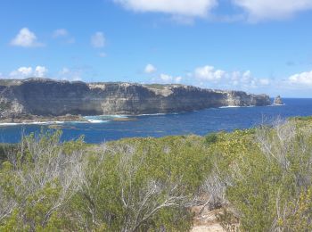 Tocht Stappen Anse-Bertrand - Porte d'Enfer - Pointe du Souffleur - Photo