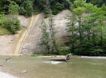 Percorso A piedi Grünenbach - Eistobel Rundweg Variante 2 - Photo