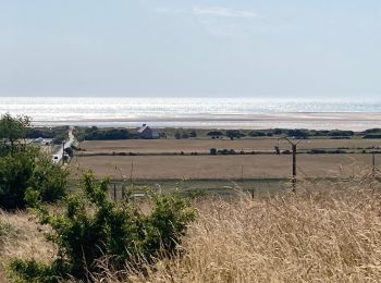 Randonnée Marche Hauteville-sur-Mer - Pointe de Montmartin - Photo