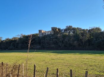 Randonnée Marche Aujargues - aujargues-junas-carrieres - Photo