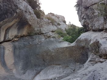 Excursión Senderismo Auriol - Ste Baume - Auriol :  Les trois ravins  - Photo