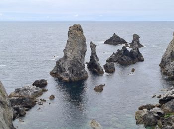 Trail Walking Bangor - Herlin-Port Coton - Photo