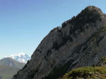 Tour Wandern Serraval - TOUR DE L'AIGUILLE DE SERRAVAL - Photo