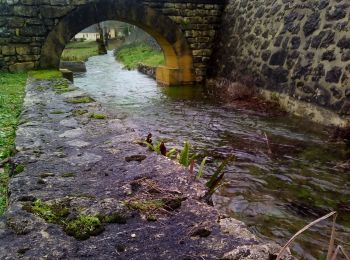 Randonnée Marche Pressignac-Vicq - 21,5 km - Photo