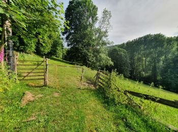 Trail Walking Plainfaing - plainfaing auvernelles - Photo