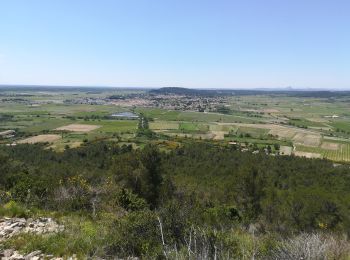 Percorso Marcia Vergèze - Vergèze Oppidum de Nages le 17 mai 2020  - Photo