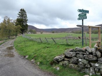 Trail On foot  - Mounth Road - Photo