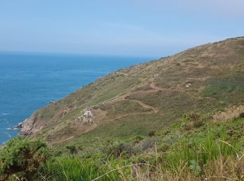 Tour Wandern La Hague - Nez de Jobourg  - Photo