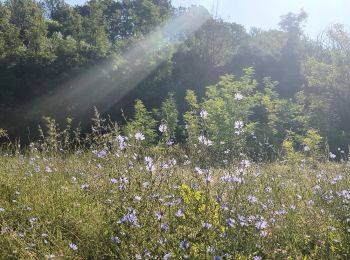 Tocht Wegfiets Lorgues - voie verte Lorgues Salernes Sillans - Photo