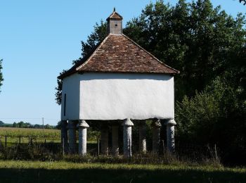 Percorso A piedi Rouffignac-de-Sigoulès - Boucle de Rouffignac de Sigoulès - Photo