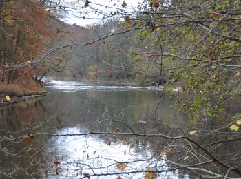 Trail Walking Herbeumont - RB-Lu-23_Herbeumont - Photo