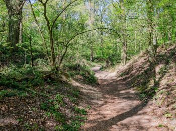 Tour Zu Fuß  - Pottbäckerweg - Photo