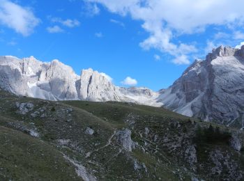 Trail On foot Santa Cristina Gherdëina - St. Christina in Gröden - Santa Cristina Valgardena - Sas Rigais - Photo