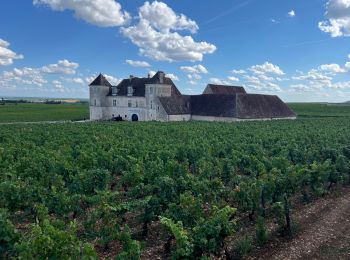 Percorso Marcia Vougeot - Autour de Clos Vougeot - Photo