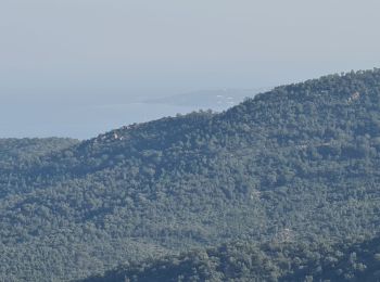 Randonnée Marche Sainte-Maxime - Vers Peigros - Photo