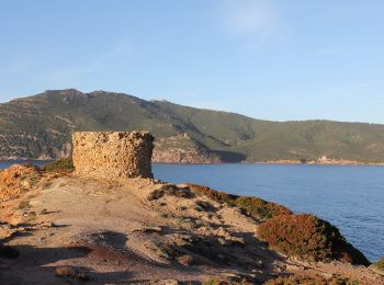 Percorso A piedi Alghero - Sentiero della Costa - Photo