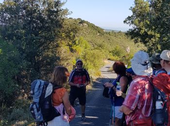 Tocht Stappen Saint-Pierre-des-Champs - le Mont Major - Photo