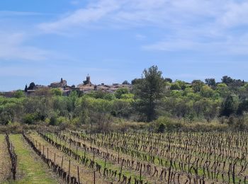 Randonnée Marche Saussines - saussines-capitelles - Photo