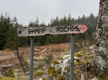 Randonnée Marche Arrentès-de-Corcieux - Champs des roches  - Photo