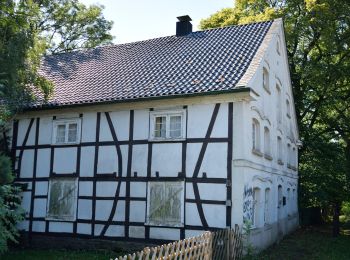 Excursión A pie Gevelsberg - [A3] historischer Rundwanderweg Silschede - Photo