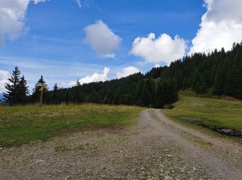 Tour Wandern Theys - Col du Merdaret, Roche Noire au départ de Pipay  - Photo