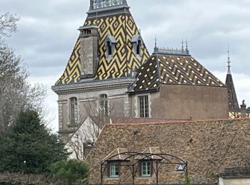 Tocht Stappen Aloxe-Corton - Alox, Corton - Photo