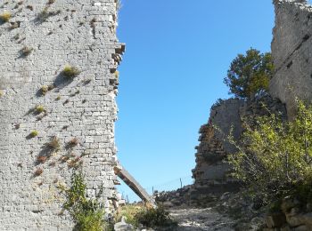 Excursión Senderismo Seynes - Mont bouquet - Photo