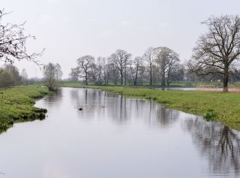 Tocht Te voet Delbrück - A3 (Steinhorster Becken) - Photo