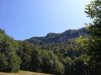 Tocht Stappen Mont-Saint-Martin - la meulière des dauphins 2019 - Photo