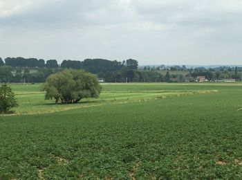 Tour Wandern Leuze-en-Hainaut - Leuze Marcheurs Souvenir Leuze-en-Hainaut - Photo