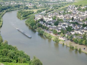 Randonnée A pied Bernkastel-Kues - Burg-Olymp-Tour - Photo