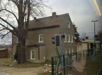 Tour Zu Fuß Reichenbach/O.L. - Naturlehrpfad Rotstein - Photo