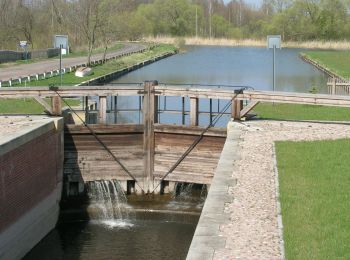 Tour Zu Fuß Dolistowo Stare - Morgowniki - Dolistowo - Lipsk - Photo