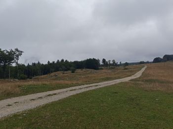 Tour Wandern Valserhône - étape 23 Bellegarde - ferme de Retord - Photo