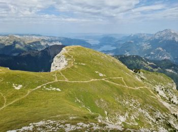 Tocht Stappen Faverges-Seythenex - SAMBUY PAS DE L'OURS - Photo